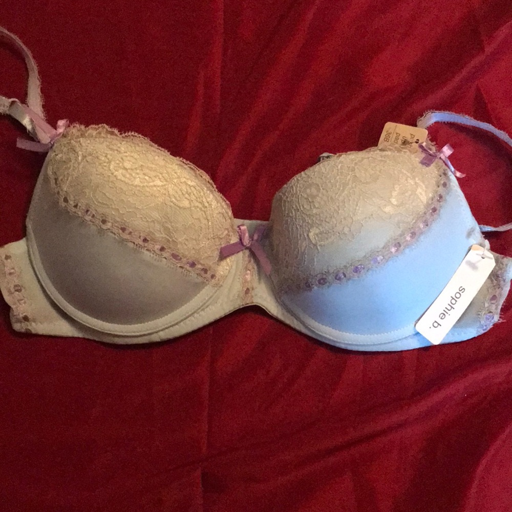 Sophie B baby blue and lavender bra.  NWT